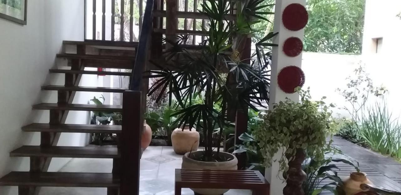 Pouso Frutos De Paraty Hotel Esterno foto